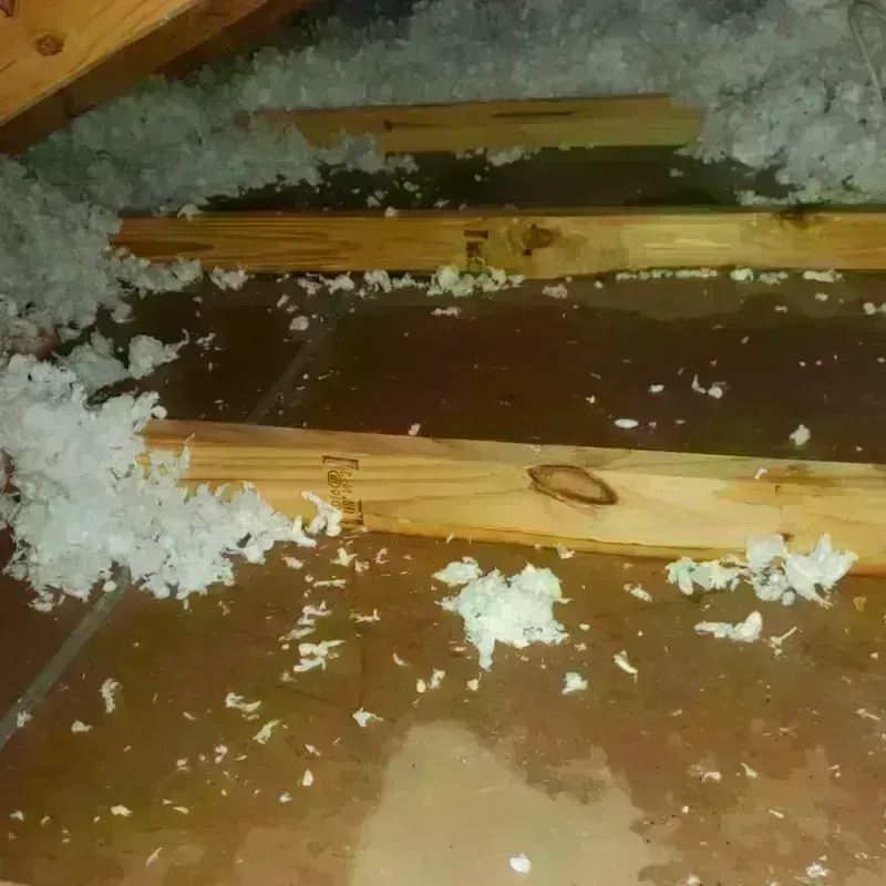 Attic Water Damage in Moab, UT