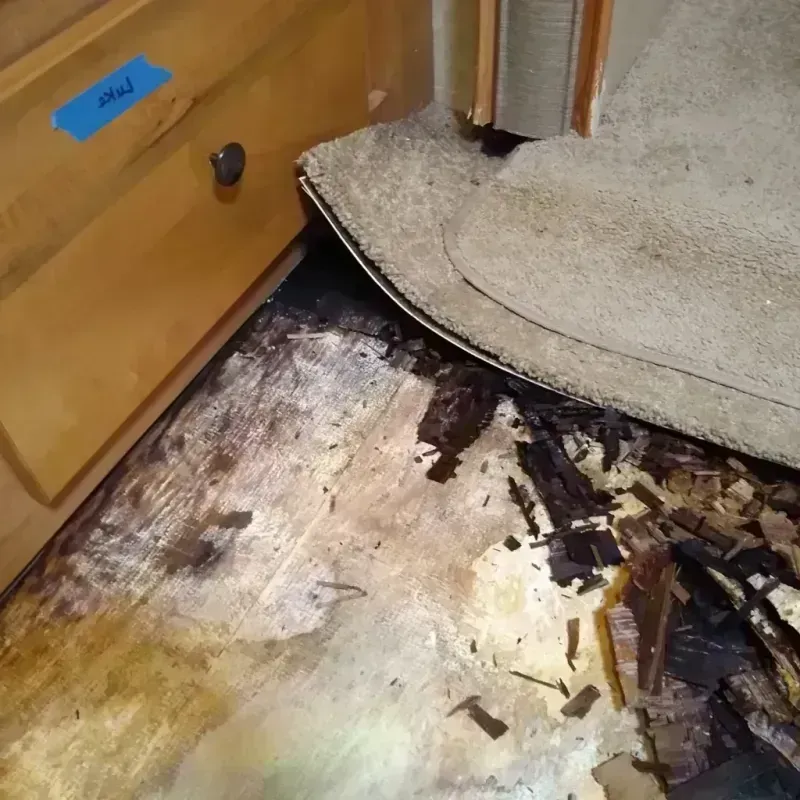 Wood Floor Water Damage in Moab, UT